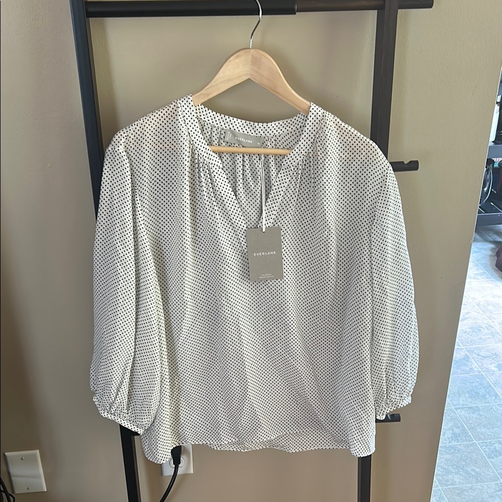 Everlane Washable Silk V-Neck - Sz 16
